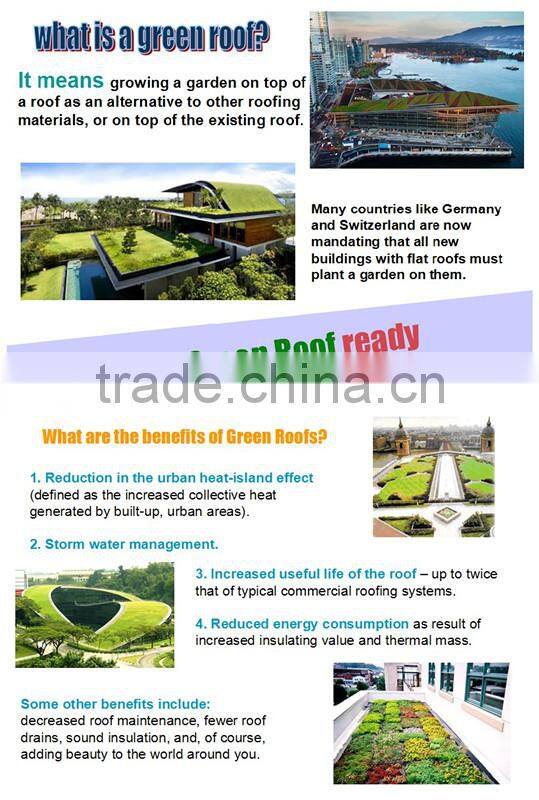 hydroponic systems rooftop garden flower pot