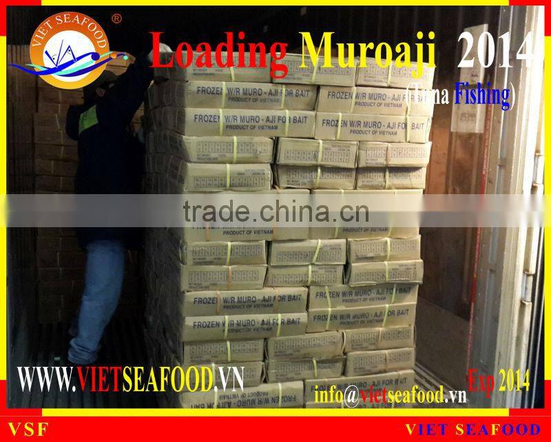 LOADING MUROAJI FOR TUNA BAIT