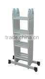multi-purpose ladder