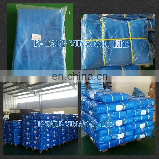 Blue/White Tarpaulin Sheet, 4*5m, 125 gr/sqm