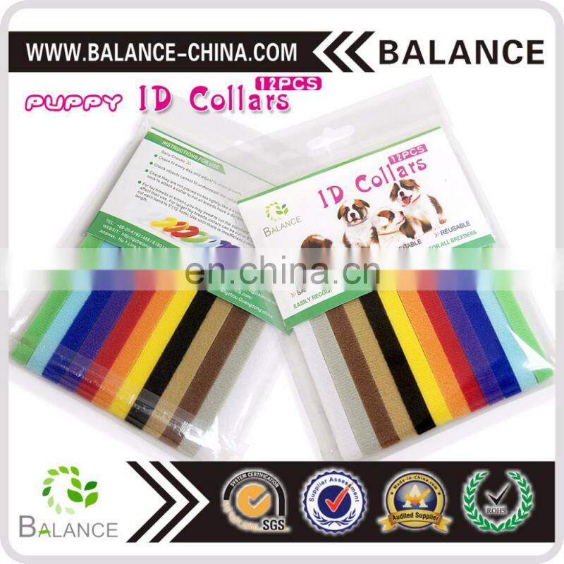 Hook & Loop Puppy Kitten ID collar with 12 colors