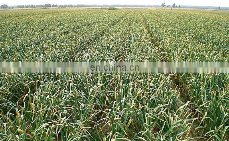 Factory Supply Garlic Onion Peanut Seeds Planting Machine