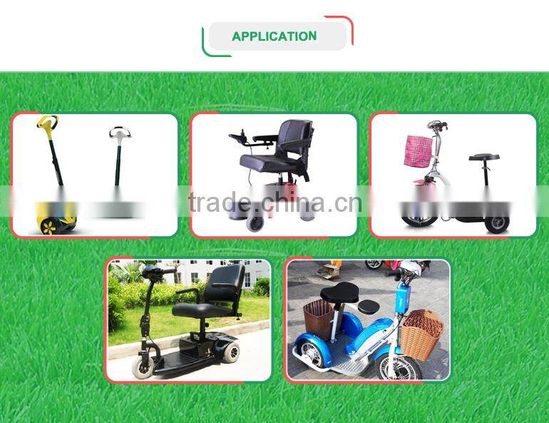 Electric Bicycle Charger