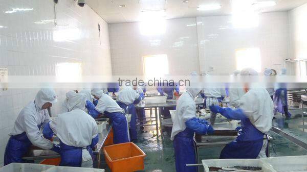 Supply frozen Spanish mackerel (scomberomorus niphonius)