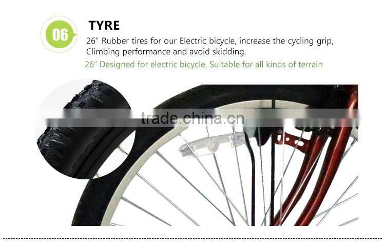 36V Adult Electric Bike For Sale