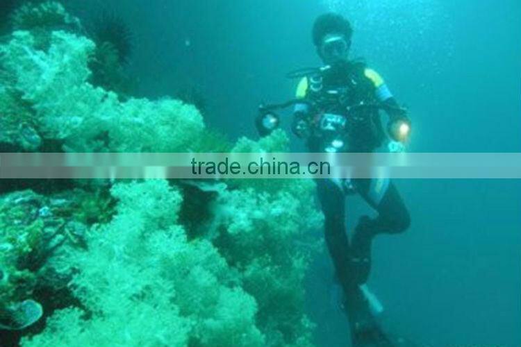 C42 T6 High Power dive flashlight