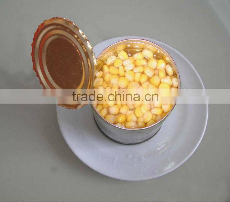 Fresh Corn for Sale Canned Sweet Corn Factory