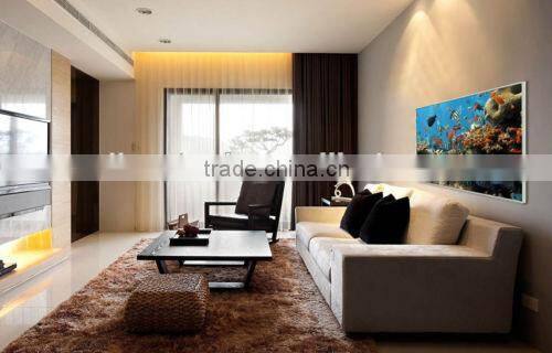 CARBON FIBER WALL heating panel