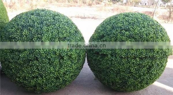 Giant artificial iron frame plastic topiary balls