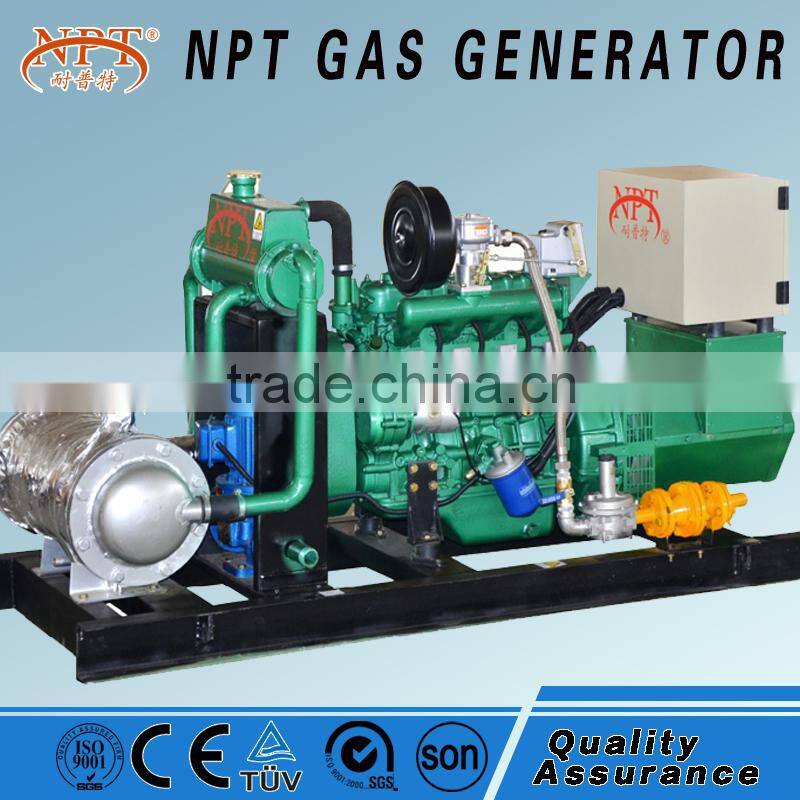 brand alternator gas generator