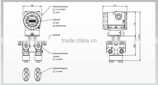 RP62 high accuracy smart pressure remote transmitter