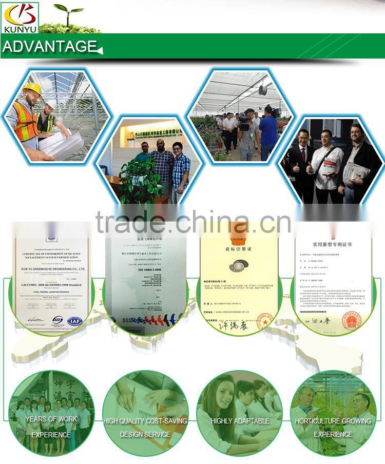 Galvanized steel frame greenhouse for Agriculture