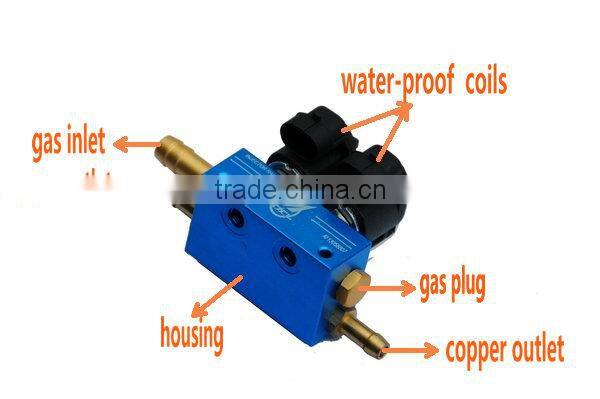 GNV/GLP accessories injector