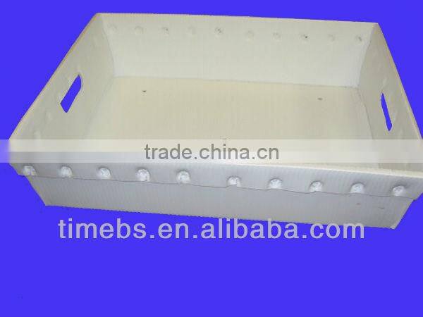 Foldable corflute boxes for fruit and vegetable