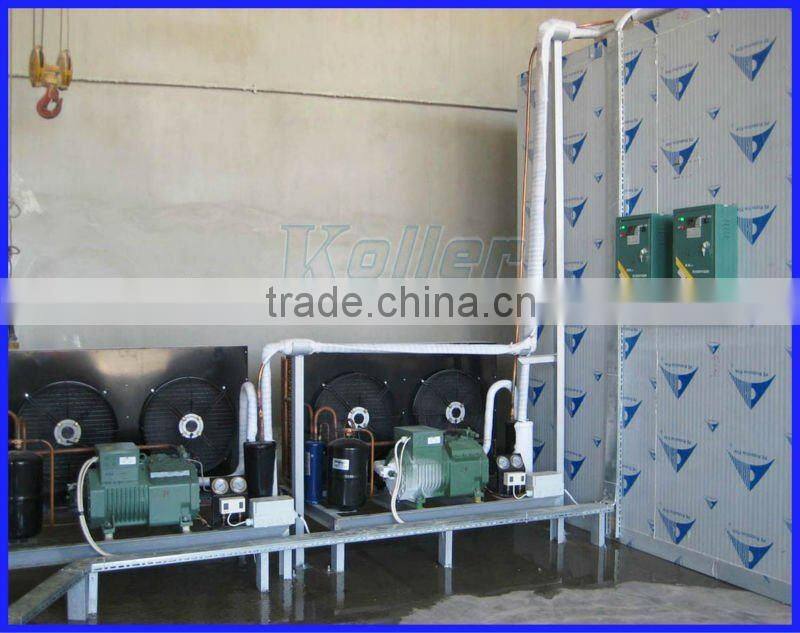 2016 Hot sale chiller cold storage room with intelligent control system for fruits