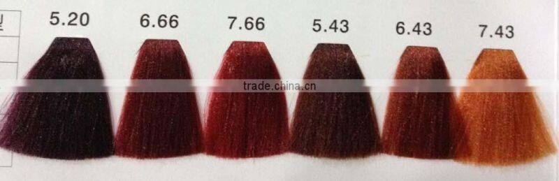 Hot brands non allergic professional permanent vogue hair dye