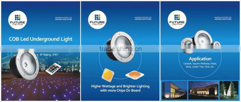 Shenzhen retrofit IP65 rgb color changing , white color Dimmable 30w COB LED inground light
