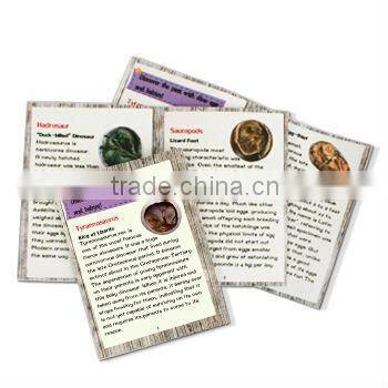 Dino Egg Dig Kits Dinosaur Baby Model