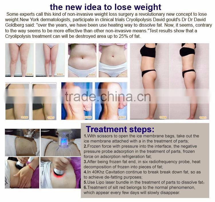 Alibaba Most Popular Portable Cryolipolysis Fat Freezing Reduction Mini cryolipolysis machine for home use