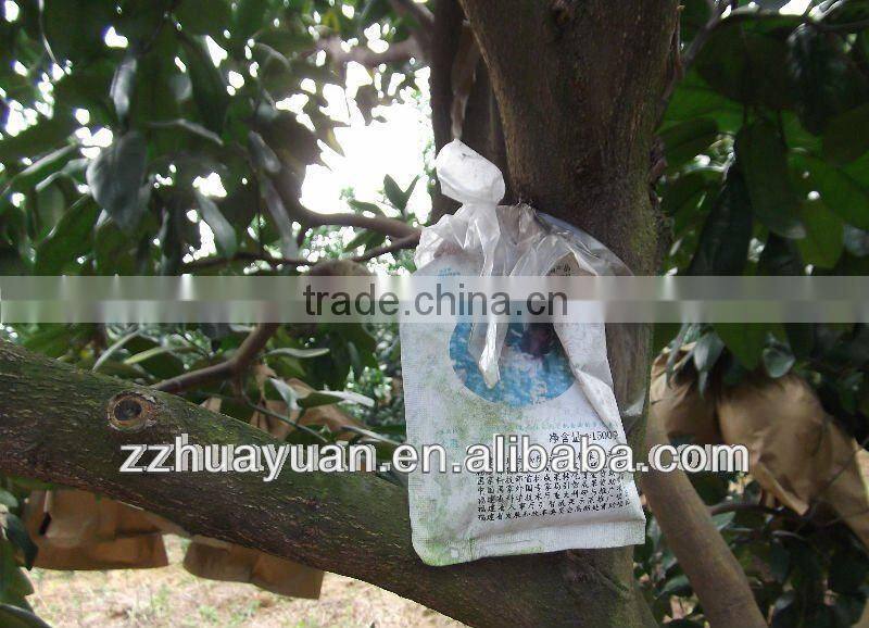 Fresh China's high quality pomelo