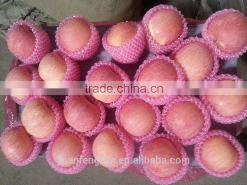Hot sale chinese Fuji apple