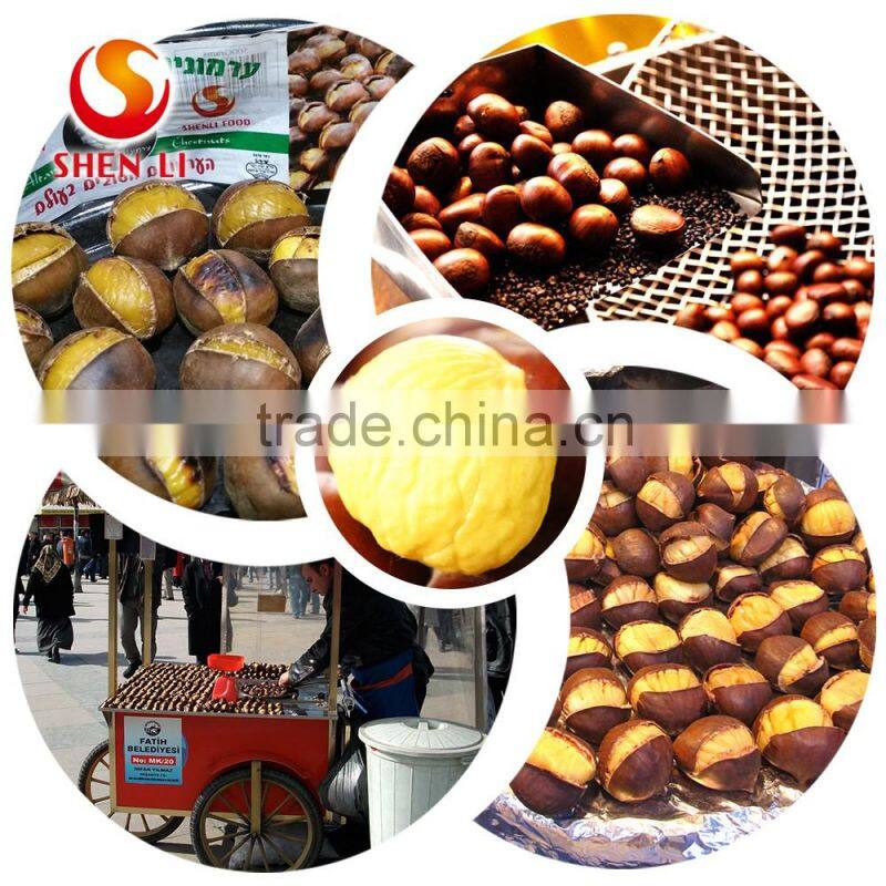 2016 Hot Sale Sweet Fresh Chestnut in Shell for Wholesale