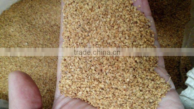 Goji berry seed/NQ-1/NQ-7 goji seeds/For plant
