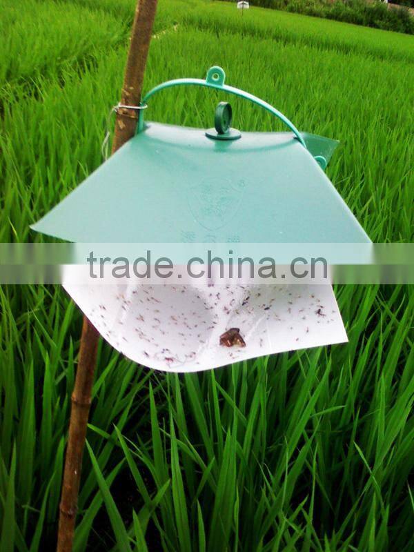 Pheromone Lure for Tryporyza incertulas and trap set