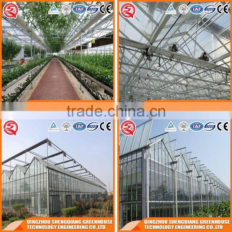 Large Multi-span glass agricultural-commercial Greenhouse/Greenhouses for vegetables,flowers and restaurant