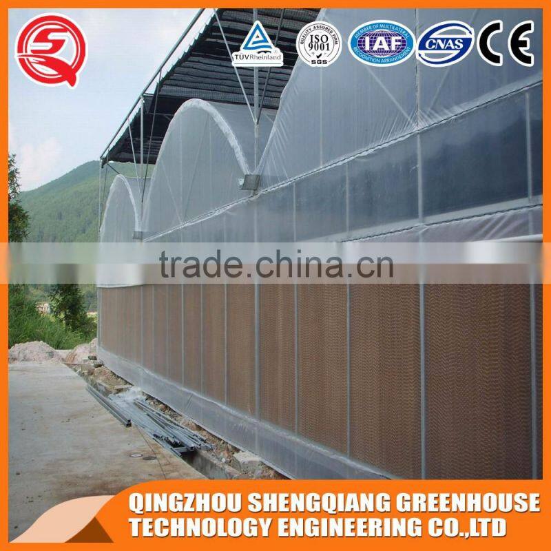 2017 China grow tent multi span plastic greenhouse for agriculture farming