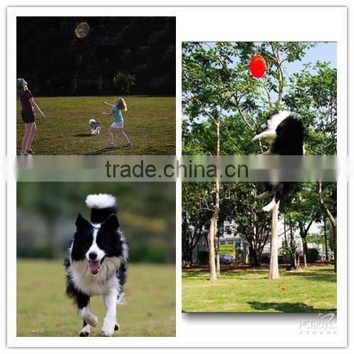 Plastic Frisbees , Flying Disc, custom ultimate frisbees discs