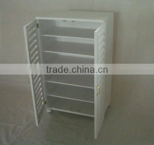 Cabinet shoe rack