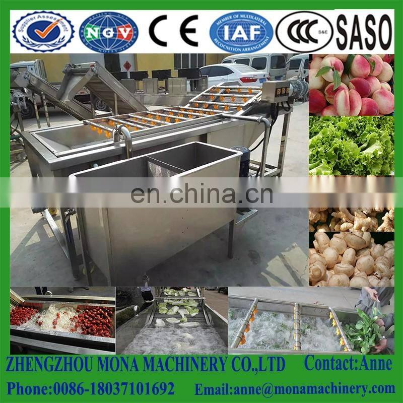 Surfing type vegetable washing machine| stainless steel fruit and vegetable washing machine with CE