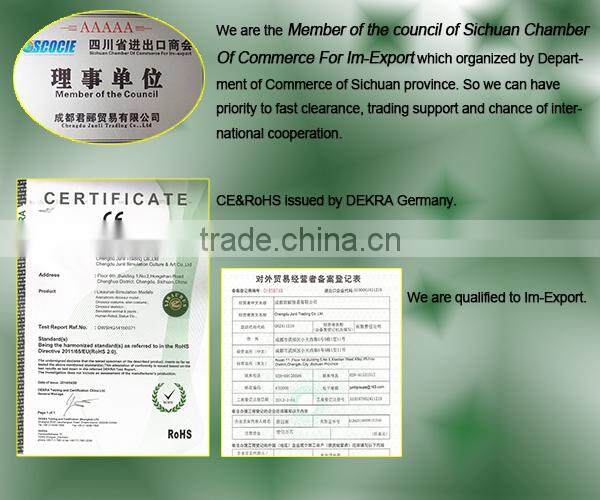 Lisaurus-R Life size fiberglass horse sculpture