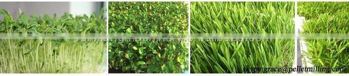 Container type 50kg farm use horse hydroponic fodder machine / Green fodder machine