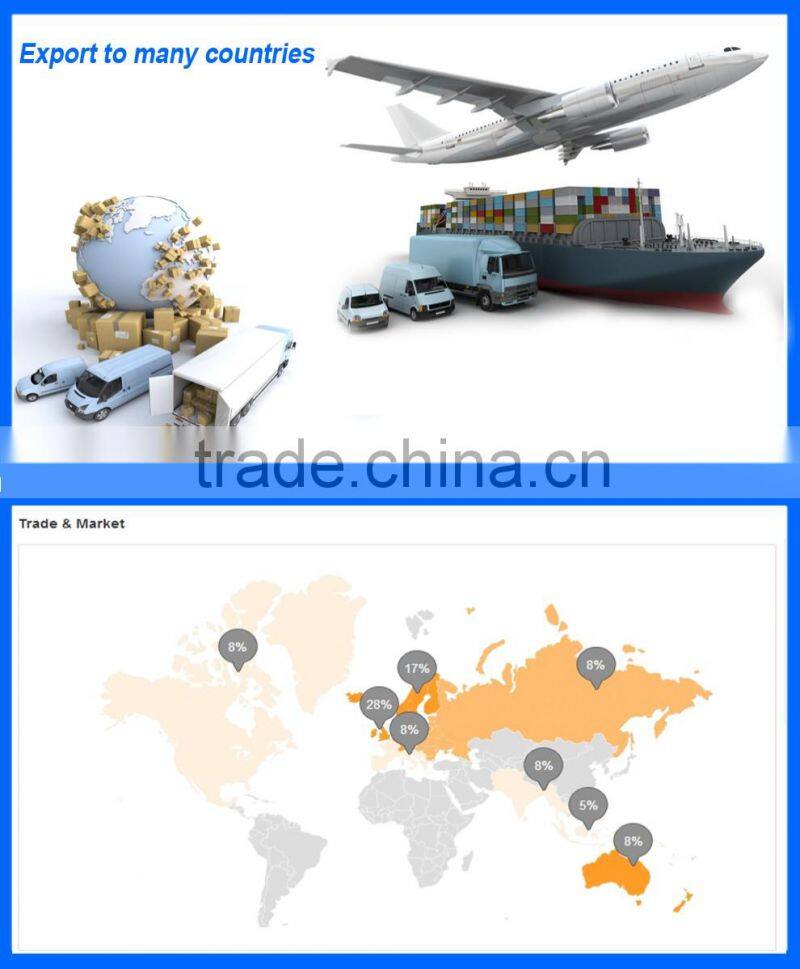 Hot Sale ,New Design Vogue Watch For Ladies