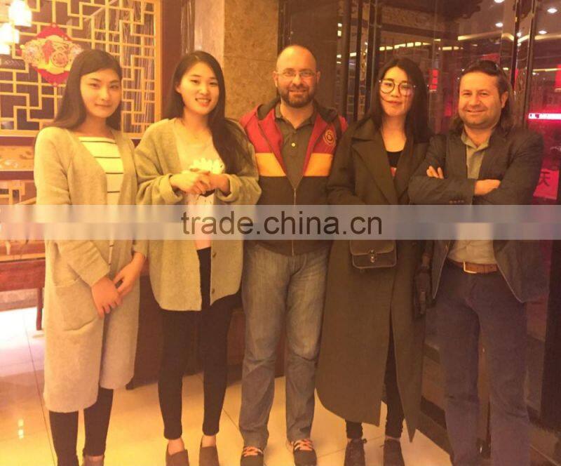 2016 hot sale W Profile and D Profile Spike Palisade Fence (Factory Price & Fast Delivery)