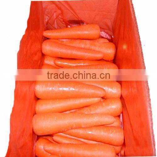 supplier of fresh carrot