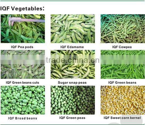 price for frozen Baby broad beans