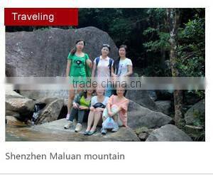 BRAND NEW 5V2.1A USB car charger CE ROHS approved