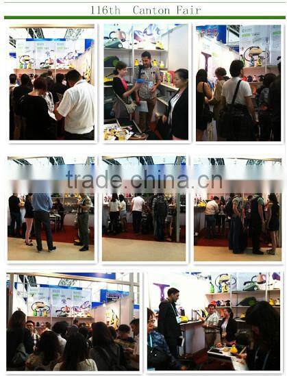 Multifunction Handheld Steam Cleaner with CB CE GS ROHS