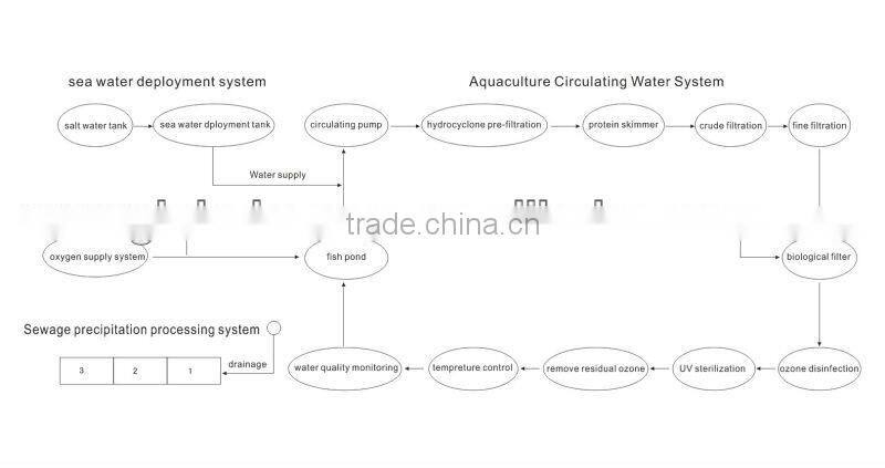 Fish farm protein skimmer for RAS recirculating aquaculture system