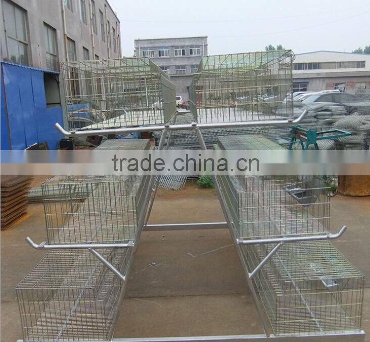 Small scale low price farm chicken cage