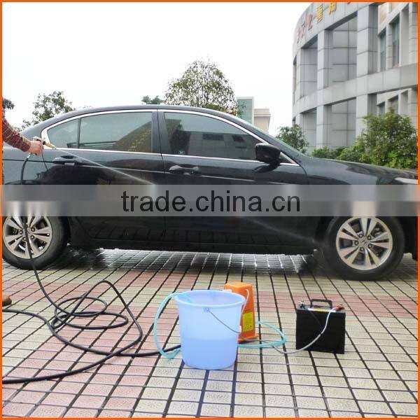 Professional mini plunger pump