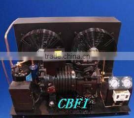 large size fish -25 centi degree Cold Storage room with CBFI installation