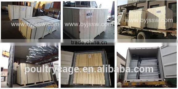 Metal Wire Mesh Layer Quail Broiler Cage For Sale( Now or Never )