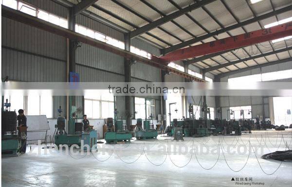 Modified Truss Head self tapping screw zinc plated