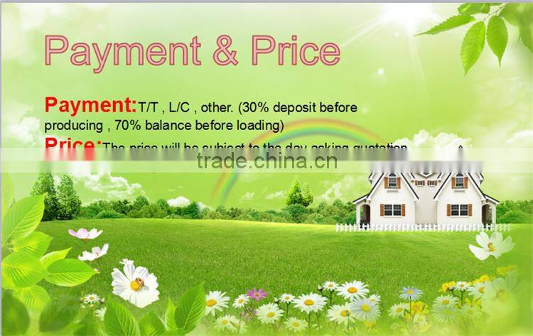 China supplier new designed potted artificial mini succulent plants for table decoration