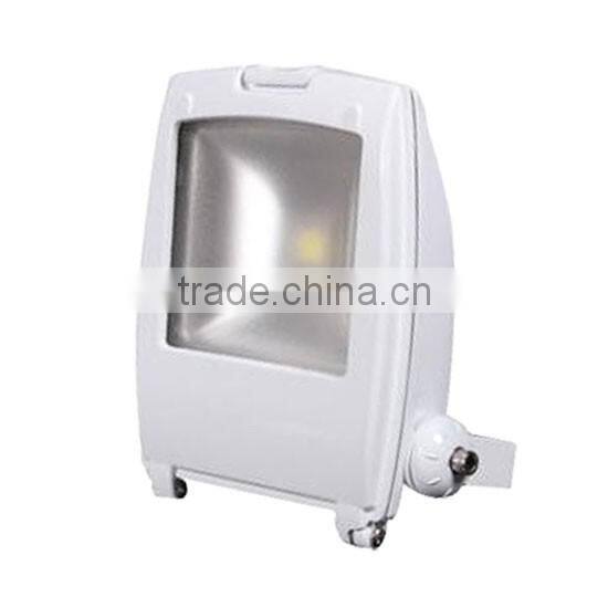 Aluminum die-casting body classical style high quality 30w IP65 led flood light