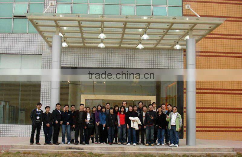 custom printed frosted shopping bags with rope handle